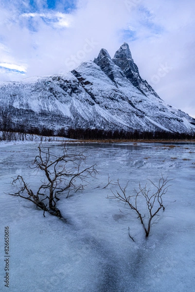 Obraz Tromso, Norway