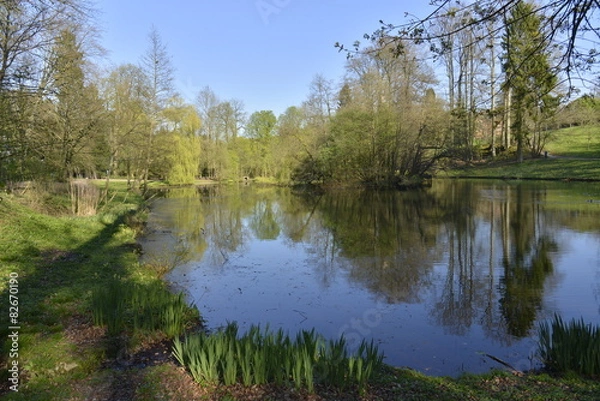 Fototapeta Berges de l'étang du parc Solvay Tournai à Bruxelles