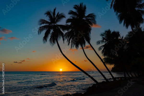 Obraz sunset on the beach