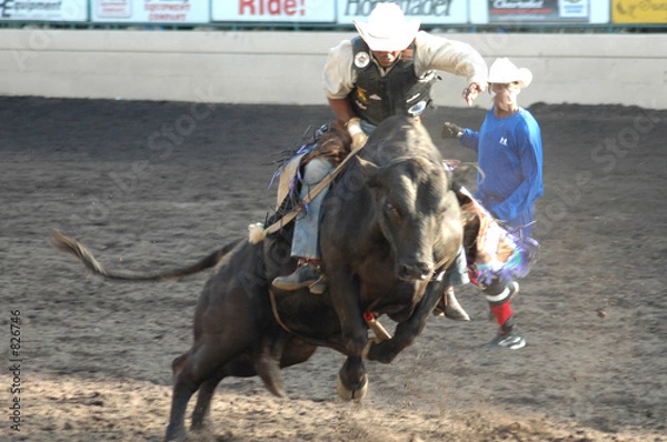 Obraz bull & rider
