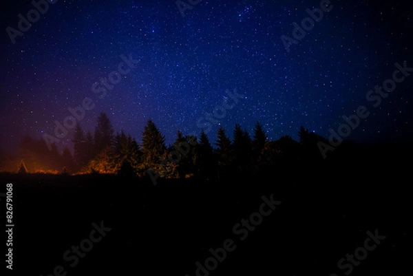 Fototapeta Countless twinkling stars in night sky over forest