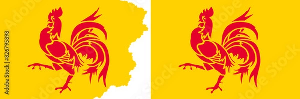 Fototapeta Walloon flags vector. Standard flag and with torn edges