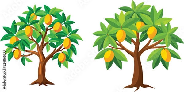 Fototapeta mango tree illustration Vector file 