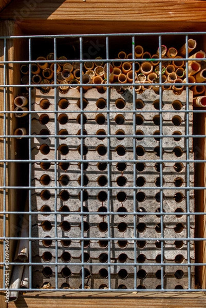 Obraz Mason Bee House 