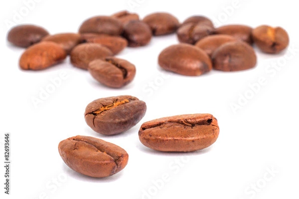 Obraz coffee arabica on white background