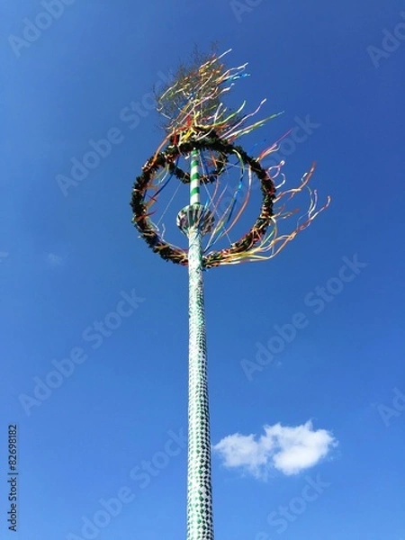 Obraz maypole with birch sapling