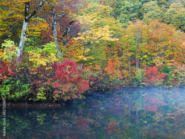 Fototapeta 紅葉の鎌池