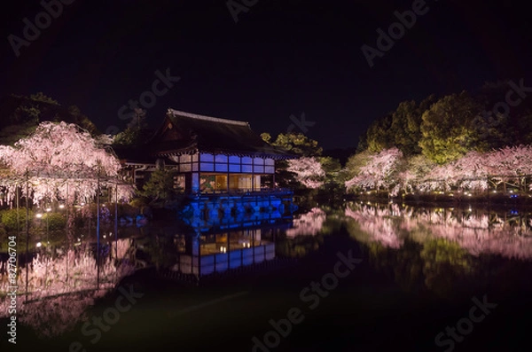 Obraz 平安神宮の八重紅枝垂