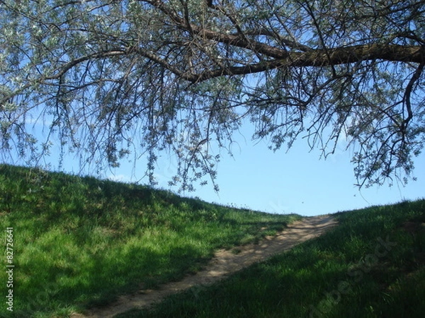 Fototapeta Hill top edge and osier branch on blue sky in spring