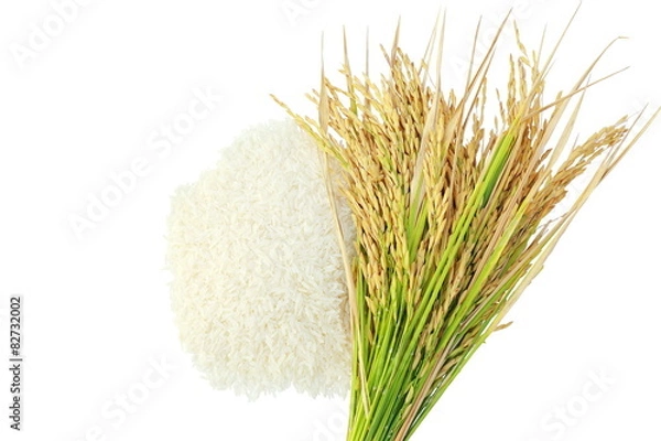 Fototapeta Rice's grains,Ear of rice isolate on white background.