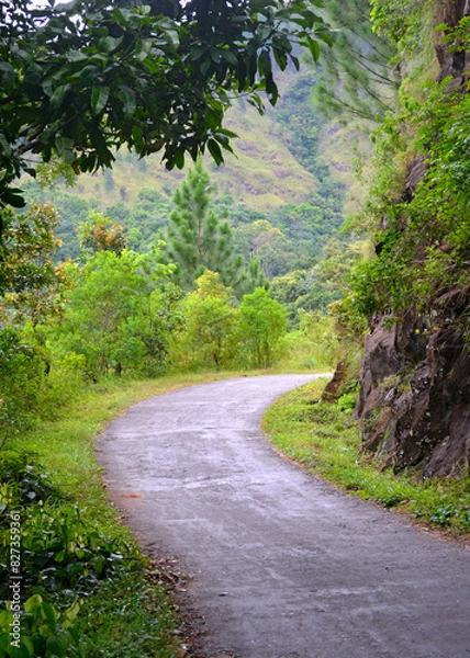 Fototapeta Rural road through natural setting with a mountain in a background