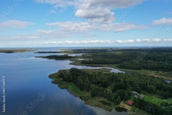 Obraz River and Forest!