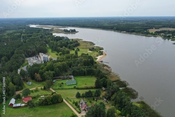 Obraz River and Forest!