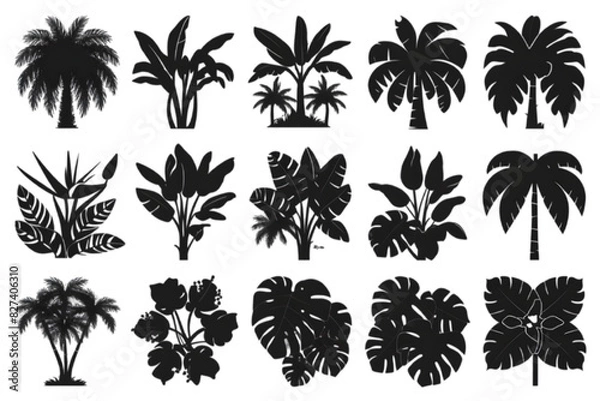Fototapeta Vector Silhouettes of Tropical Plant Species: A Detailed Series Showcasing Exotic Foliage in Various Shapes and Sizes, Isolated on White