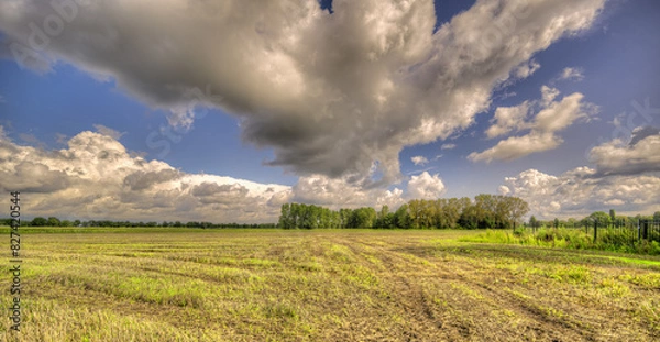 Obraz Big clouds formations passing over a pastoral landscape in The Netherlands.