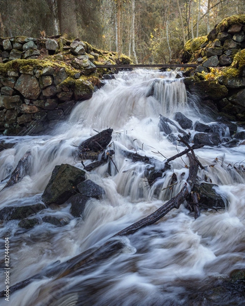 Fototapeta Rushing Creek Over Rocks in Forest