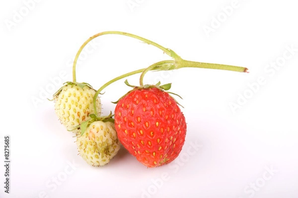 Fototapeta Strawberries