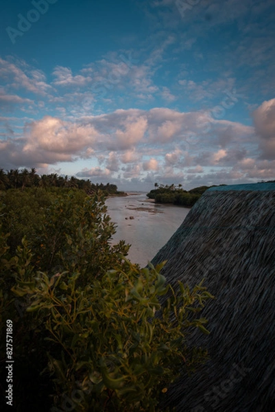 Obraz A view on Sulangan Mangrove Park in Easter Samar