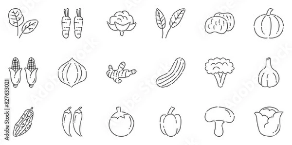 Fototapeta Set Of Vegetables Icons Web Header Banner Design Containing Fruit,Food,Vegetable,Vegetables,Organic Vector Icons Illustration Collection