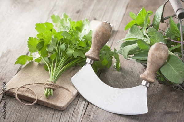 Obraz Petersilie hacken