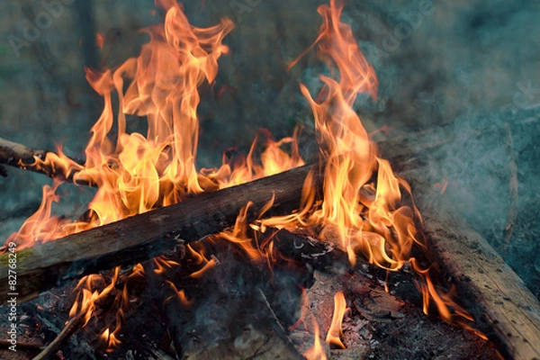 Obraz Planks burning in bonfire