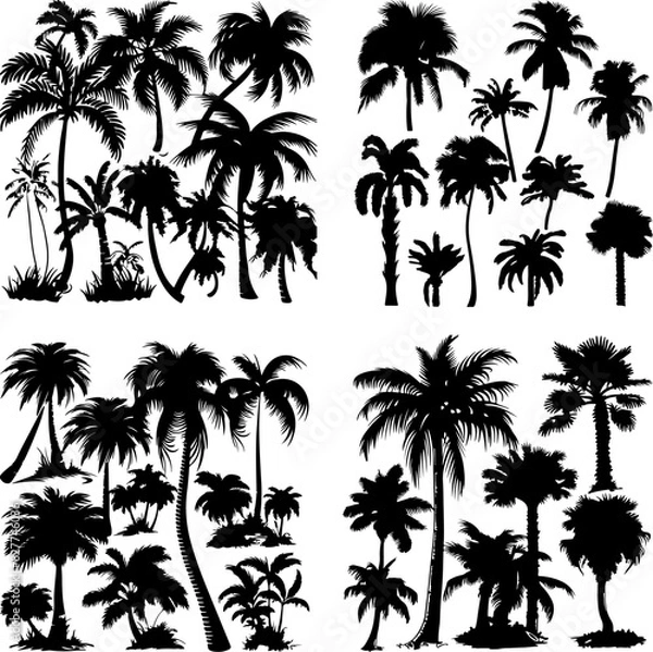 Fototapeta black tree silhouette set label protection silhouette graphic pine drawing trunk woodland shape illustration set wild cedar collection evergreen symbol black card needles spruce