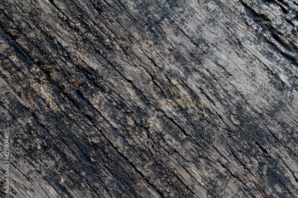 Fototapeta old wood background