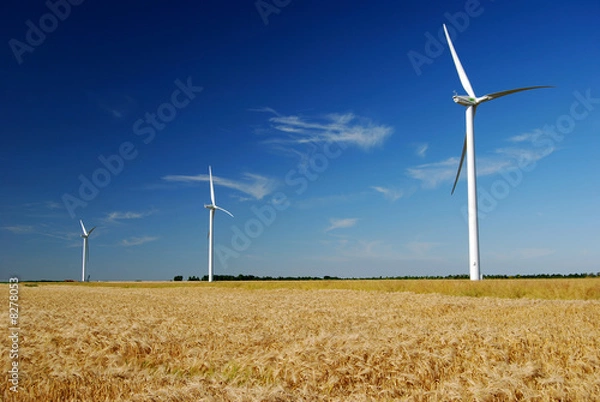 Obraz éolienne en été 7