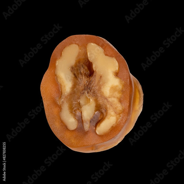 Obraz Walnut sausage one on black background