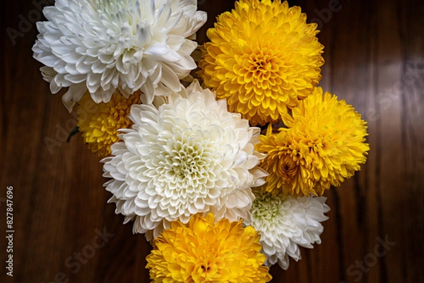 Obraz nature moments