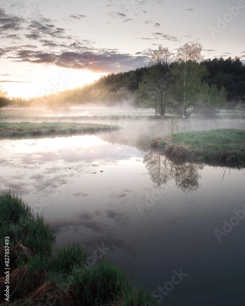 Fototapeta Tranquil Marshland Scene at Dawn