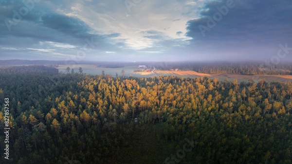 Fototapeta Aerial View of Forest and Farmland at Sunset