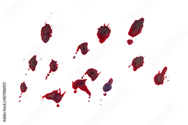 Fototapeta Drops of blood on grey Isolated on A Transparent Background