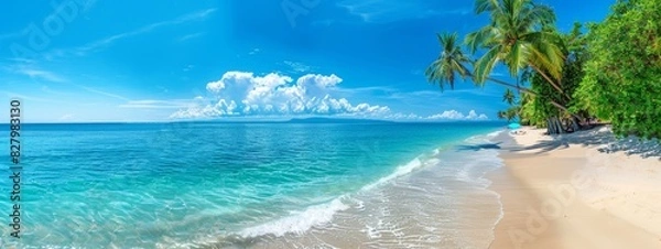 Fototapeta Panorama beach with palm trees and clouds in the sky