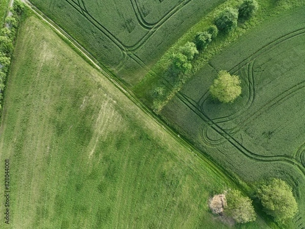Fototapeta defaultDie Felder von Rheinland-Pfalz an einem sonnigen Sommertag in der nähe einer Stadt