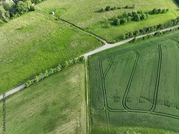 Fototapeta defaultDie Felder von Rheinland-Pfalz an einem sonnigen Sommertag in der nähe einer Stadt