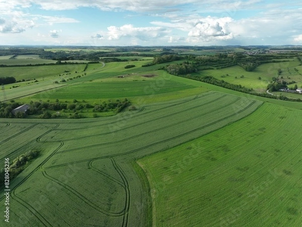 Fototapeta defaultDie Felder von Rheinland-Pfalz an einem sonnigen Sommertag in der nähe einer Stadt
