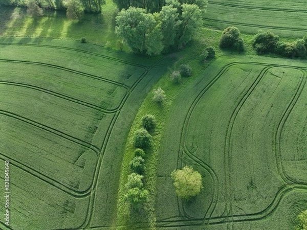 Fototapeta defaultDie Felder von Rheinland-Pfalz an einem sonnigen Sommertag in der nähe einer Stadt