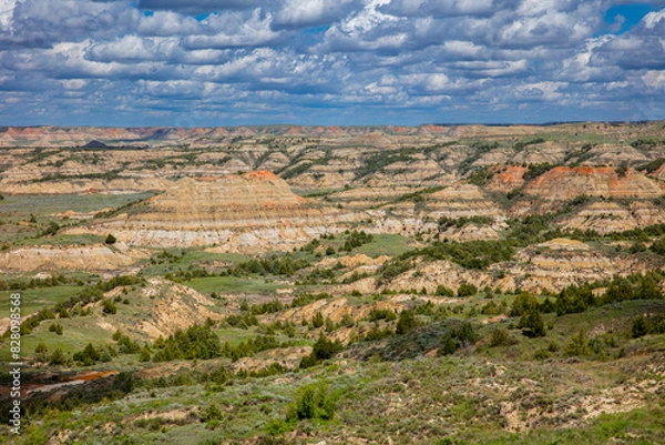 Obraz "Painted Canyon"