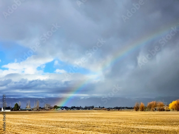 Fototapeta rainbow over field