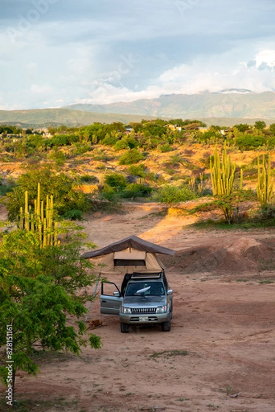 Obraz car in the desert