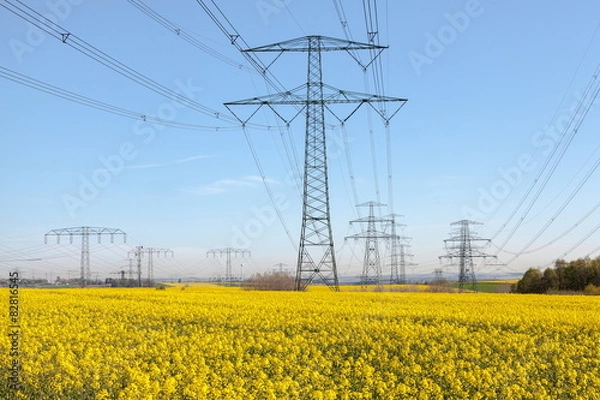 Fototapeta Stromtrasse im Rapsfeld