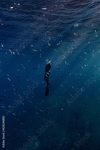 Obraz Freediver in the sea