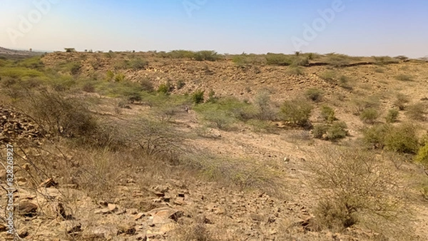 Fototapeta Landscape view of maintain land and trees