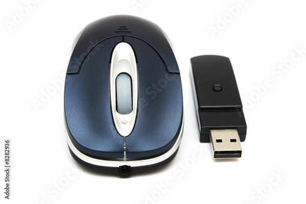 Fototapeta Wireless Mouse