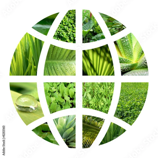 Obraz Globe lądowe 4