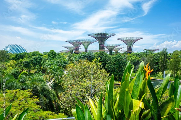 Obraz シンガポールのガーデンズ・バイ・ザ・ベイ
