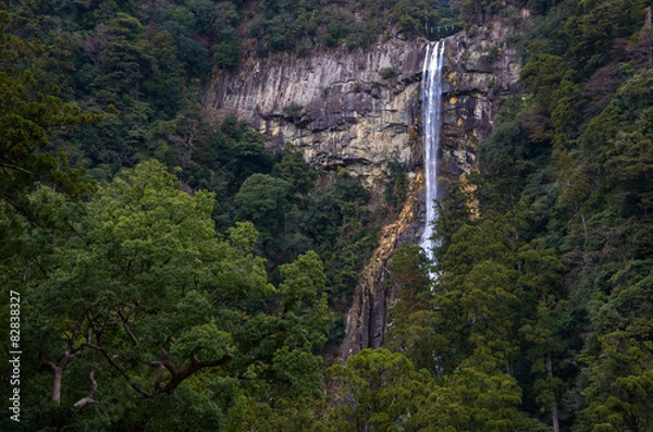 Fototapeta 那智の滝