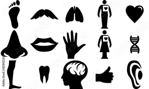 Fototapeta Set Of Linear Icon A Body Isolated Silhouette Solid Icons With Heart,Sense,User,Foot Vector Illustration Linear Pictogram Pack