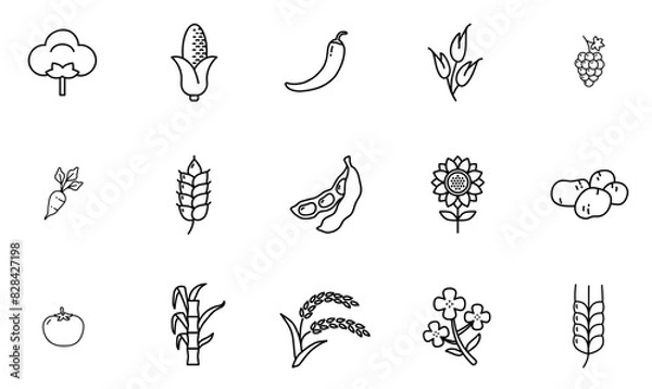 Fototapeta A Collection Of Crops Outline Icons Icons Web Header Banner Design Containing Cereals,Grain,Sugar,Hot,Crop Stroke Icon Collection. Vector Illustration